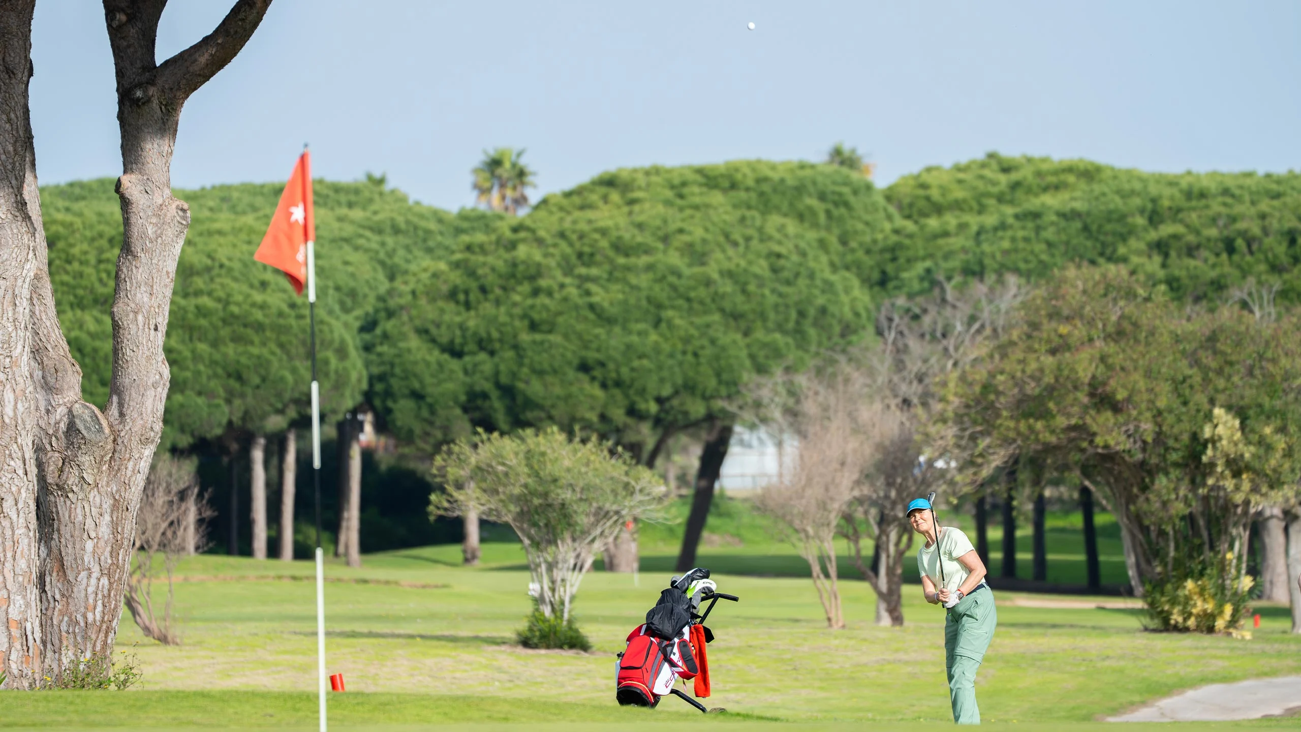 Kvinnelig golfspiller slår mot flagget på grønn golfbane med trær